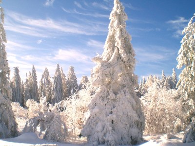 Holiday apartment "Schöne Bergsicht" - Environment photo 29