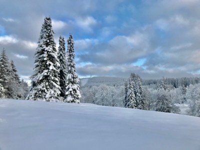 Holiday apartment "Schöne Bergsicht" - Environment photo 30