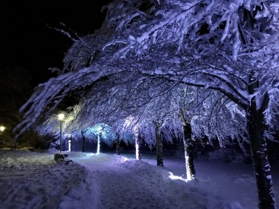 Holiday apartment "Schöne Bergsicht" - Environment photo 32