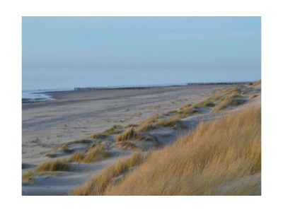 Holiday house Delfin - Environment photo 18