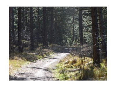 Holiday house Delfin - Environment photo 20