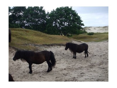 Holiday house Delfin - Environment photo 21