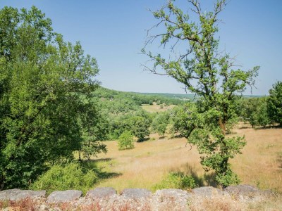 Cottage Dordogne Pool-Retreat - Outdoor photo 7