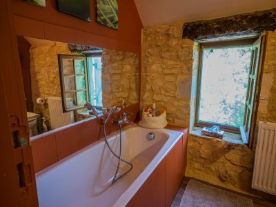 Cottage Dordogne Pool-Retreat - Features photo 15