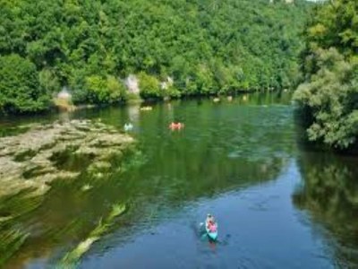 Cottage Dordogne Pool-Retreat - Environment photo 33