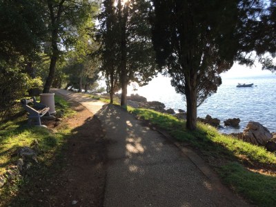 Holiday apartment Pavic - Environment photo 29