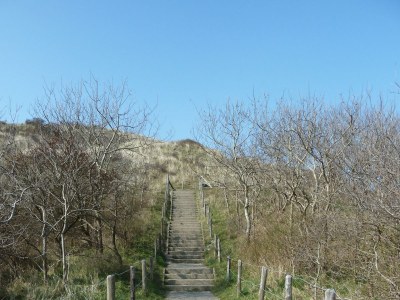 Holiday apartment Zuiderstrand Duinweg 127 - Environment photo 20