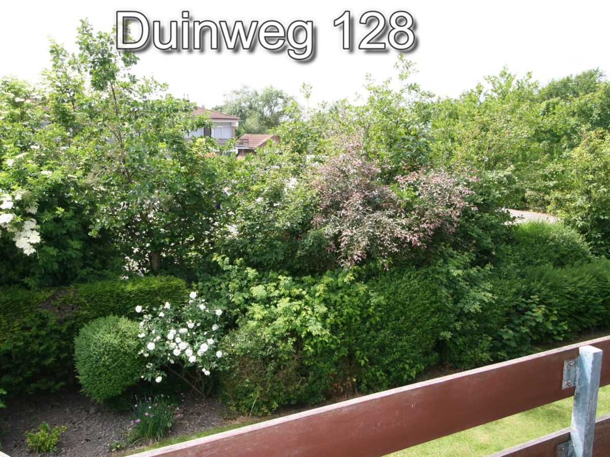 Holiday apartment Zuiderstrand Duinweg 128 - Outdoor photo 3