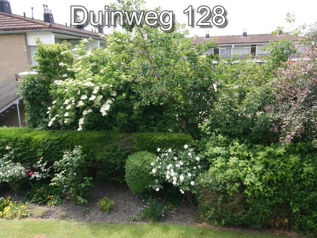 Holiday apartment Zuiderstrand Duinweg 128 - Outdoor photo 4