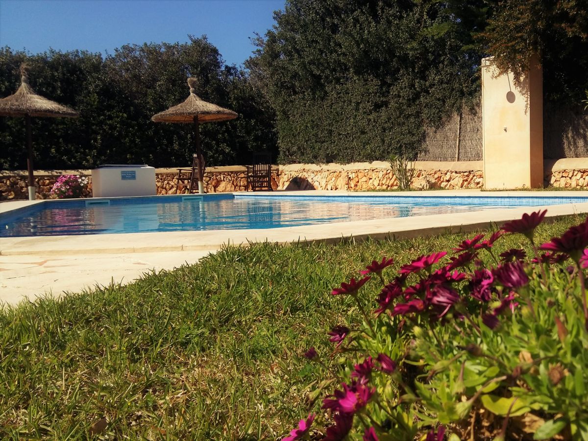 Holiday apartment Villa Schmidt - Outdoor photo 3