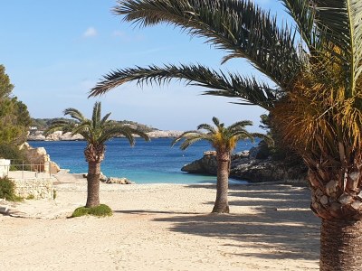 Holiday apartment Villa Schmidt - Environment photo 40