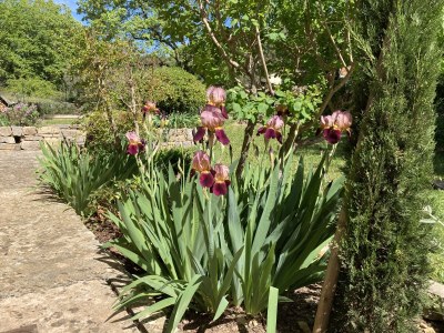 Holiday house Les mille Iris - Outdoor photo 18
