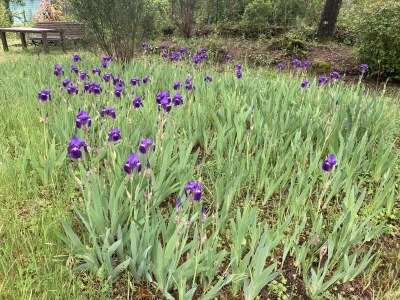 Holiday house Les mille Iris - Outdoor photo 22