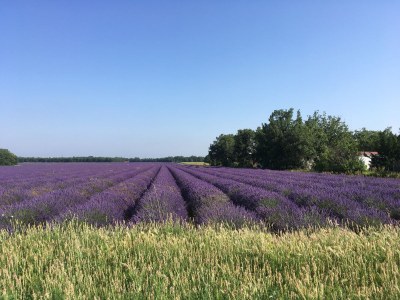 Holiday house Les mille Iris - Environment photo 36