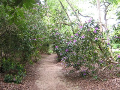 Holiday apartment 2-3 pers. - Environment photo 14