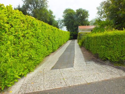 Holiday house Strandbungalow 82 - Outdoor photo 9