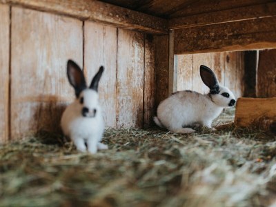 Holiday apartment Accommodates 8 guests - Outdoor photo 11