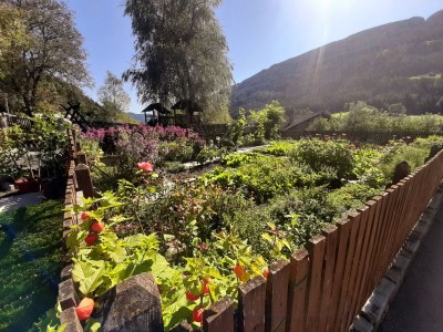 Holiday apartment Accommodates 8 guests - Outdoor photo 13