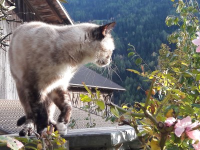 Holiday apartment Accommodates 8 guests - Environment photo 29