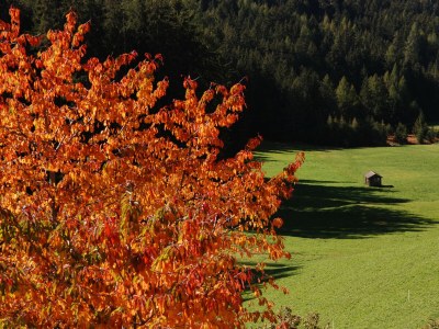 Holiday apartment Accommodates 8 guests - Environment photo 31