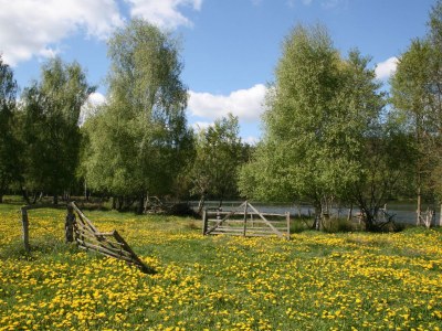 Holiday house Zartwitzer Hütte - Environment photo 18