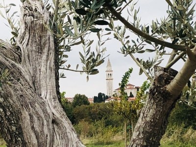 Holiday apartment - No title - - Environment photo 38