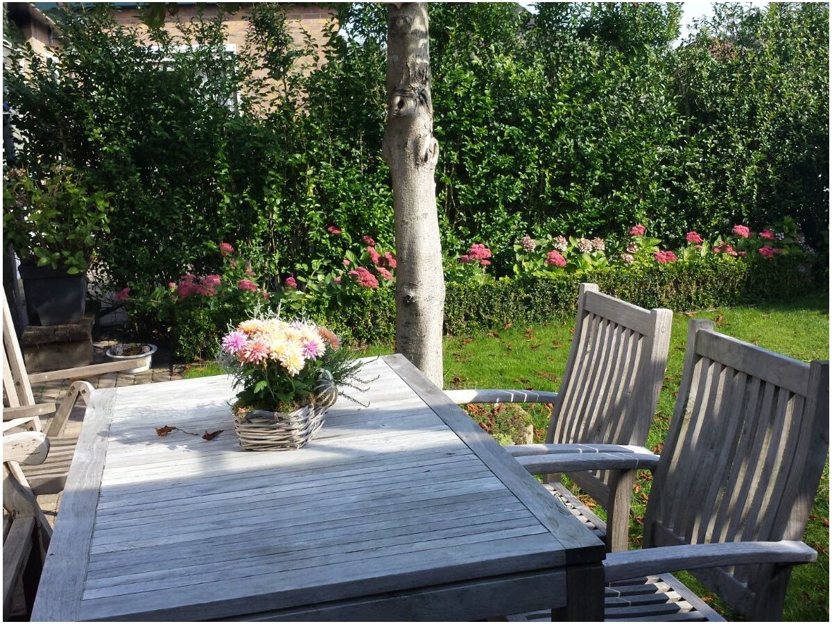 Bungalow van Almsick 2 - Outdoor photo 2