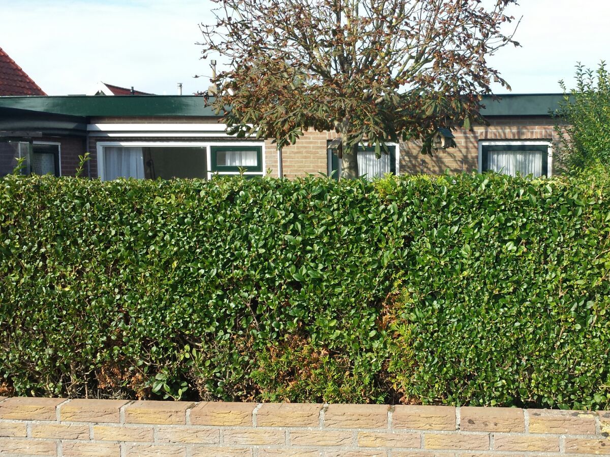 Bungalow van Almsick 2 - Outdoor photo 3