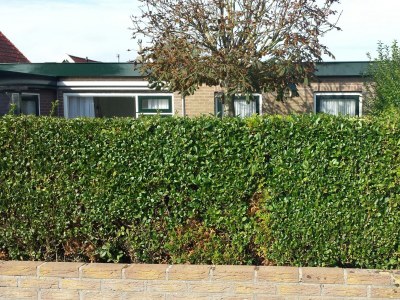 Bungalow van Almsick 2 - Outdoor photo 3