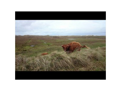 Bungalow van Almsick 2 - Environment photo 17