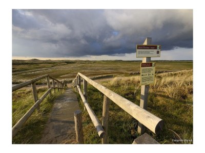 Bungalow van Almsick 2 - Environment photo 19