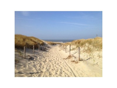 Bungalow van Almsick 2 - Environment photo 20