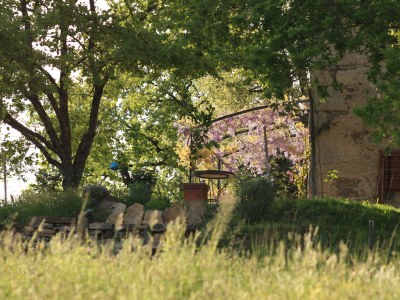 Cottage Pas de Baoussac - Outdoor photo 11