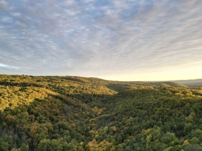 Cottage Pas de Baoussac - Outdoor photo 12