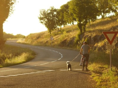 Cottage Pas de Baoussac - Environment photo 28