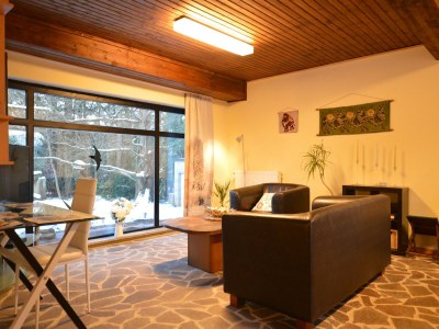 Apartment Großes Ferienhaus fuer 8 Personen, Manderscheid in Volcanic Eifel - Apartment