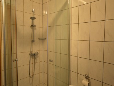 Apartment Großes Ferienhaus fuer 8 Personen, Manderscheid - Features photo 24