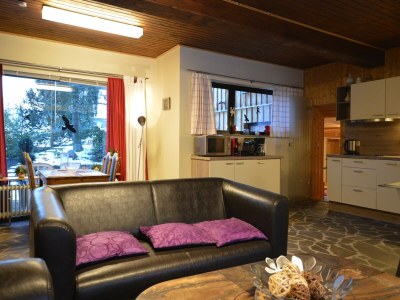 Apartment Großes Ferienhaus fuer 8 Personen, Manderscheid - Features photo 37