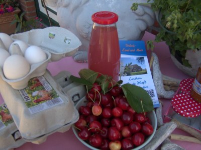 Holiday apartment Op de Warft Nordsee - Outdoor photo 6