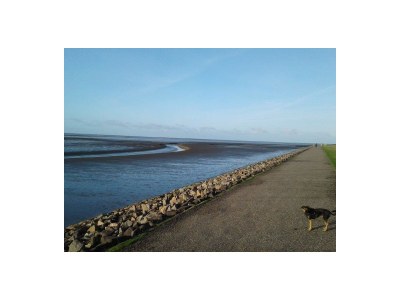 Holiday apartment Op de Warft Nordsee - Outdoor photo 8