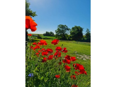 Holiday apartment Op de Warft Nordsee - Features photo 19