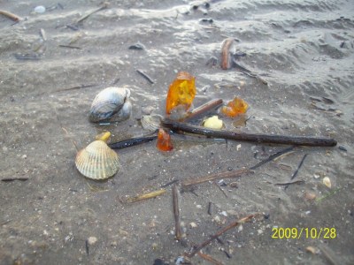 Holiday apartment Op de Warft Nordsee - Environment photo 24