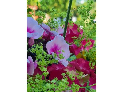 Holiday apartment Op de Warft Nordsee - Environment photo 27