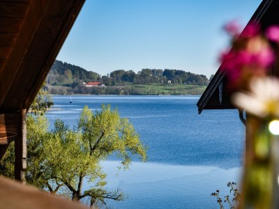 Holiday apartment Stadlsuite am Moarhof - Outdoor photo 4
