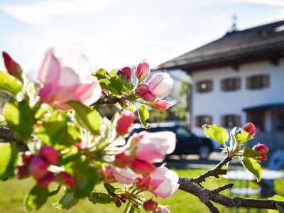 Holiday apartment Stadlsuite am Moarhof - Outdoor photo 9