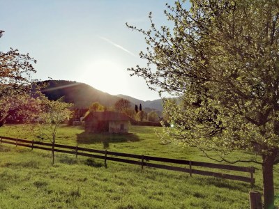 Holiday apartment Stadlsuite am Moarhof - Environment photo 34