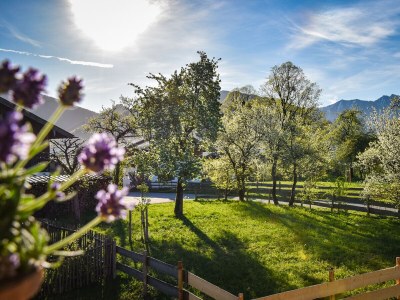 Holiday apartment Stadlsuite am Moarhof - Environment photo 39