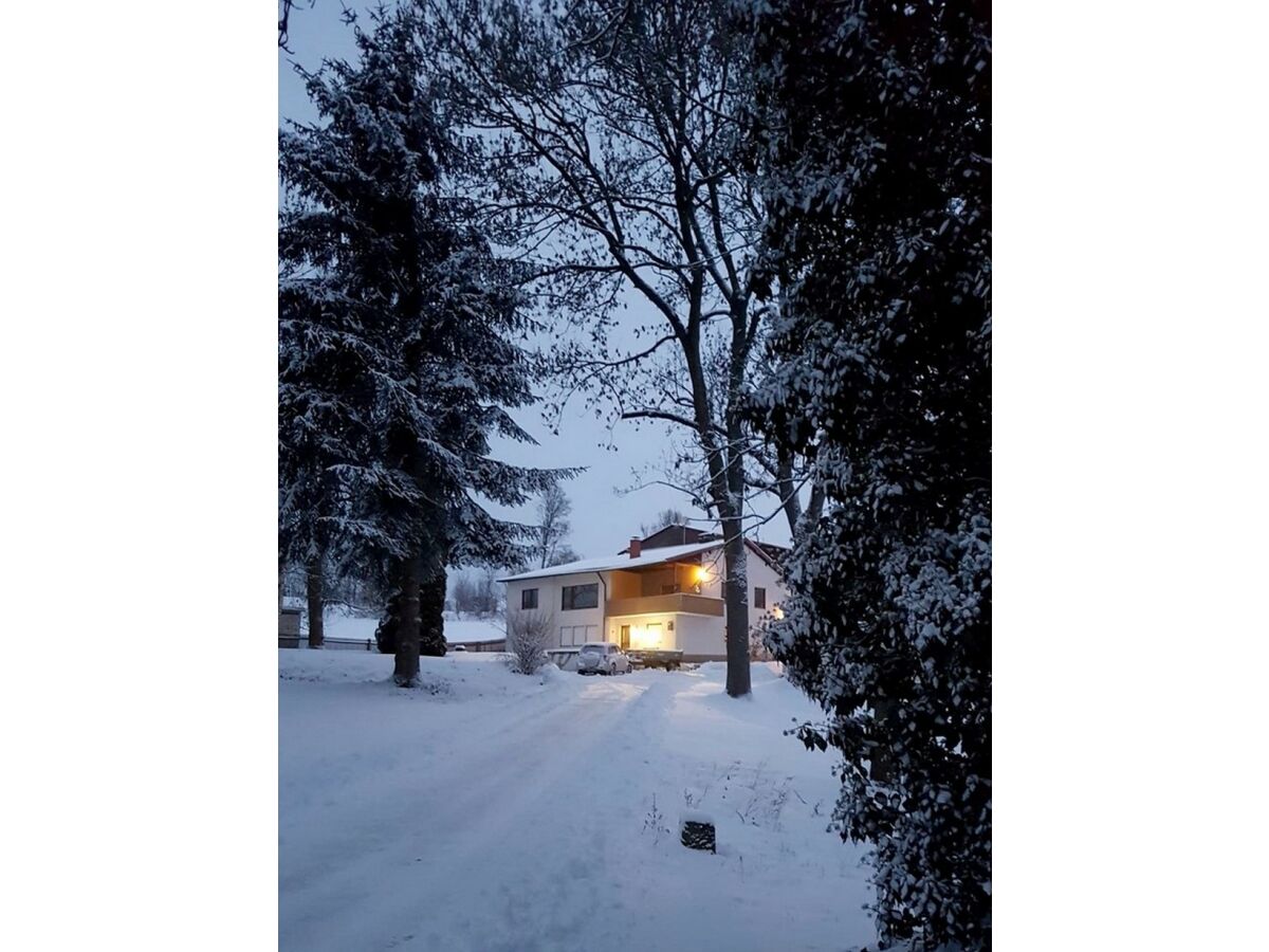 Holiday apartment Gutsgarten - Outdoor photo 3