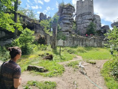 Holiday apartment Gutsgarten - Environment photo 21