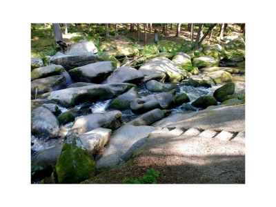 Holiday apartment Gutsgarten - Environment photo 22